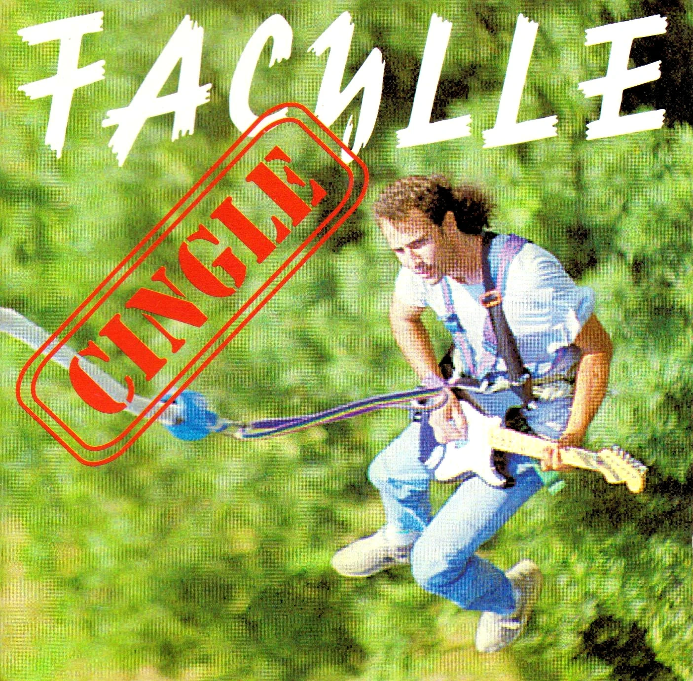 🎸 CD ultra-rare : Facylle - "Cinglé" (1996) - Pépite collector !